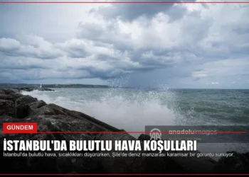 news card 8506a28850a5d0fe