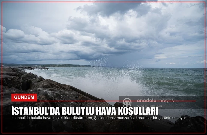 news card 8506a28850a5d0fe