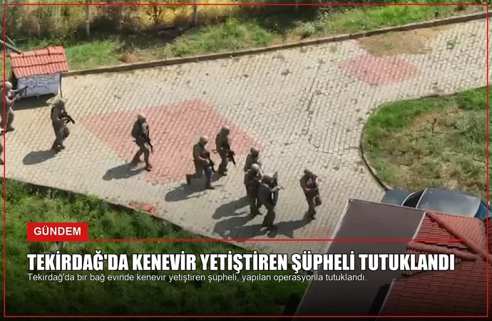 news card 871cca670a4d61e5