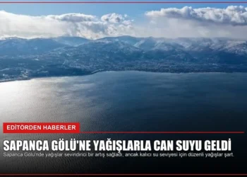 news card 8b664dbce3ab6303