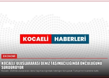 news card 8e64606d900e1a5e