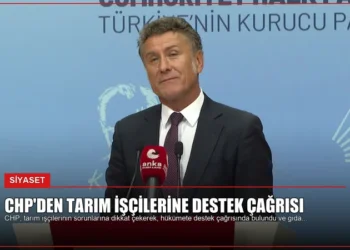 news card 8e722a0b30f9c7dd