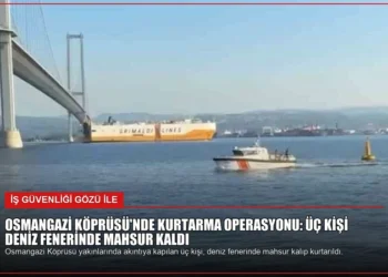 news card 8ef95548d406795a