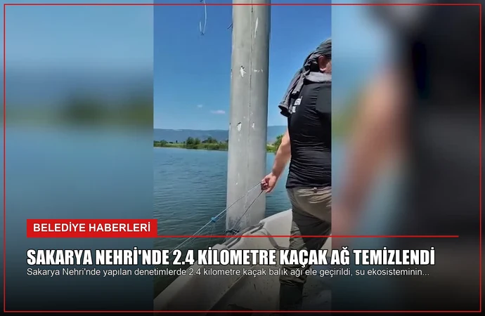 news card 8f5c16fc6395fc03