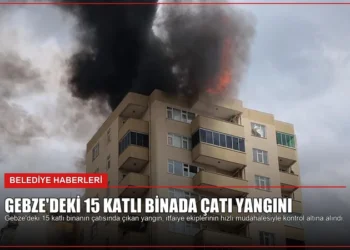 news card 951853ca19fe5bd6