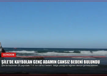 news card 9632333b1f8442e7