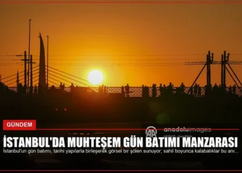 news card 96edcc0a1dff46e8