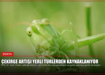 news card 97d718962ccdb08c