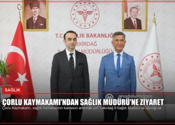 news card 9a358e3d32203e4d