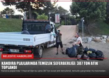 news card 9a73c273cfa96872