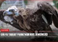 news card 9af6437f805f209d