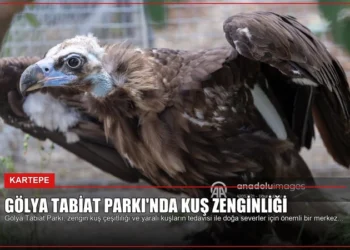 news card 9af6437f805f209d