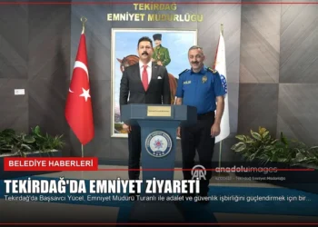 news card 9bb62d0d5fd05ea3