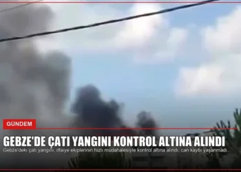 news card 9d493fa32b6ff545