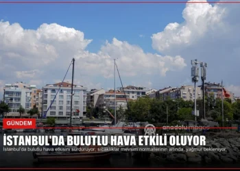 news card 9e96f14d6e7fb40f