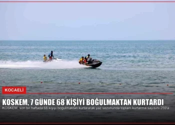 news card 9ef8fd05d96b4f4b
