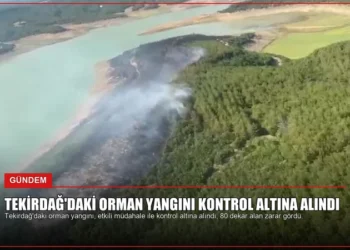 news card 9f03b070a8f4c62c