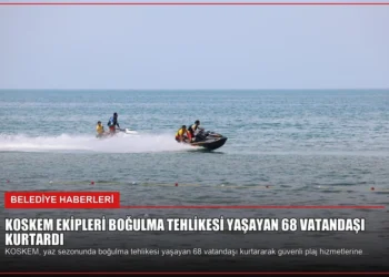 news card a0886904fbf50a24