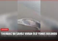 news card a0ed90fb0f1e2431