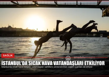 news card a1c21f1d667dd8d3