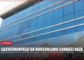 news card a79f4c7b4133e60c