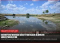 news card a9dd57a770e4da28