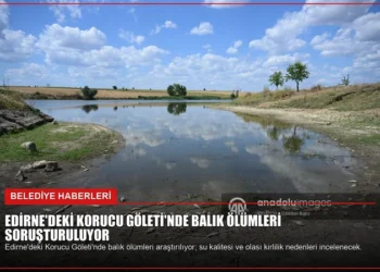 news card a9dd57a770e4da28