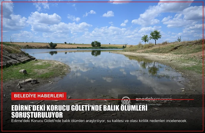 news card a9dd57a770e4da28