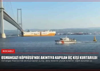 news card af798276f44868ac
