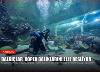 news card b5080d65b60d9261