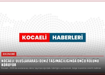 news card b661fd2e8dd654d7