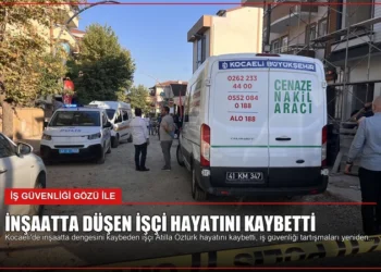 news card b8b4c2cde03581d4