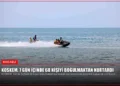 news card bee5d0457a147a30
