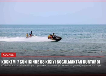 news card bee5d0457a147a30