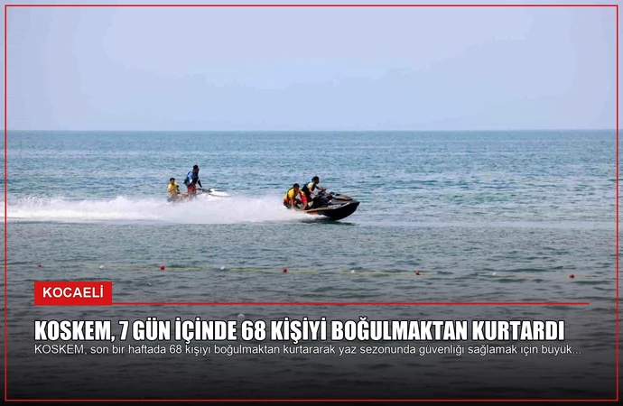 news card bee5d0457a147a30