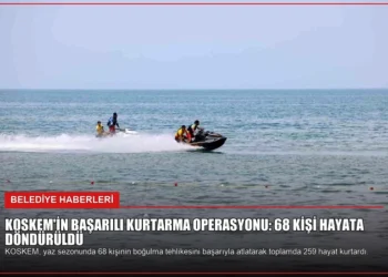 news card c0f787b3b3bfbe15