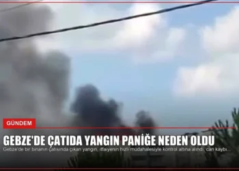 news card c1a50ce1460e7138