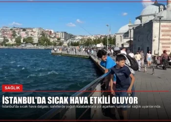 news card c1c56394933f6701