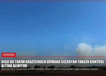 news card c20942d5c41f2b8d