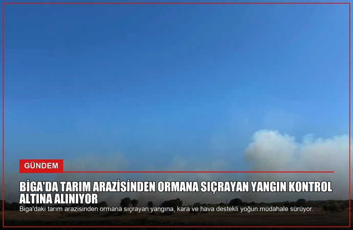 news card c20942d5c41f2b8d