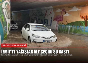 news card c31a3fac55bd1685