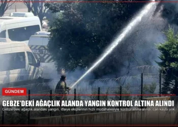news card c6d4db4a7713522a