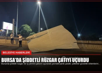 news card c93fffbc02964fa2