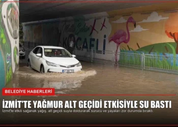 news card c97c7177cac9ba00