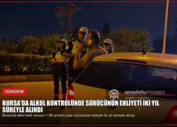 news card cdcefda309540df1