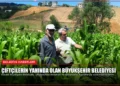news card d0debe3bf9a7f741