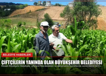 news card d0debe3bf9a7f741