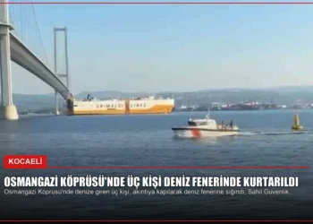 news card d488451bd0ae11a9