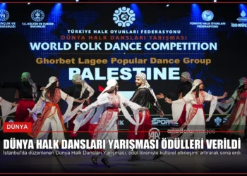 news card d51b0859565d3335