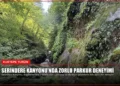 news card d529585d2431b5de